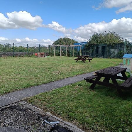 Y Doc At World Horizons Community Hub Vandrarhem Llanelli Exteriör bild